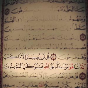 Meet your Posher, Noor